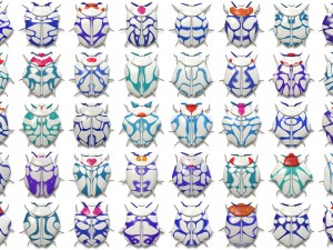 10 beetle collection backgrounds Tekstur CG