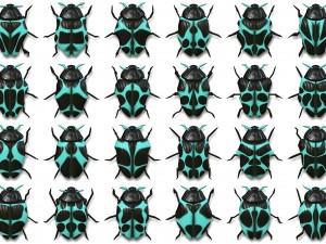 10 beetle collection backgrounds Tekstur CG