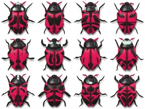 10 beetle collection backgrounds Tekstur CG