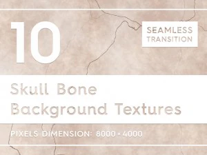 10 种头骨骨骼背景纹理 CG 纹理