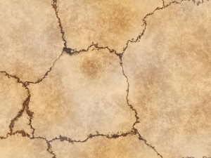10 skull bone background textures CG Textures