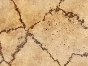 10 skull bone background textures CG Textures