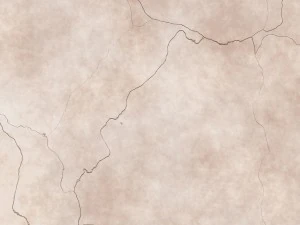 10 skull bone background textures CG Textures