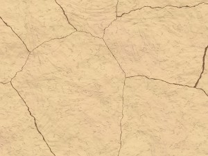 10 skull bone background textures CG Textures