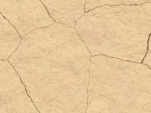 10 skull bone background textures CG Textures