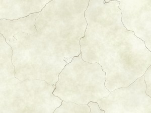 10 skull bone background textures CG Textures