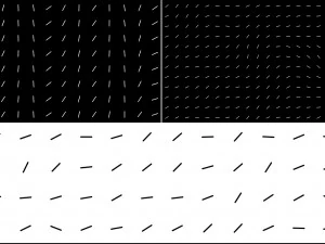 10 dynamic dashes backgrounds CG Textures