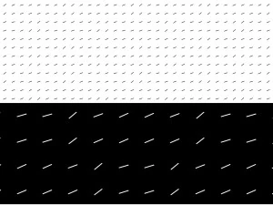 10 dynamic dashes backgrounds CG Textures