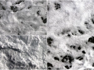 15 sea foam textures CG Textures