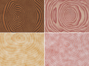 10 wood saw cut background textures Texturas CG