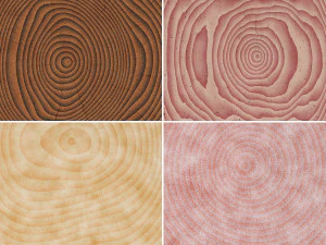 10 texturas de fundo de corte de madeira Texturas CG