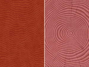10 wood saw cut background textures Texturas CG