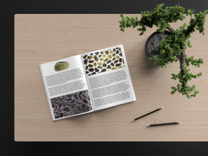 38 gold obsidian background textures CG Textures
