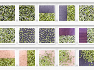 34 olivine background textures CG Текстури