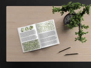 34 olivine background textures CG Textures