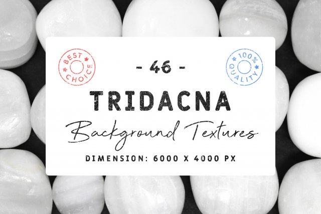 46 tridacna background textures Texturas CG .c4d .max .obj .3ds .fbx .stl .blend 