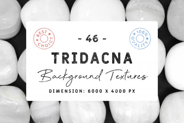 46 tridacna background textures CG Textures .c4d .max .obj .3ds .fbx .stl .blend 