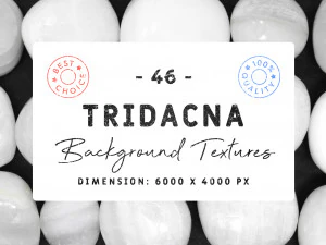 46 tekstur tła tridacny CG Tekstury