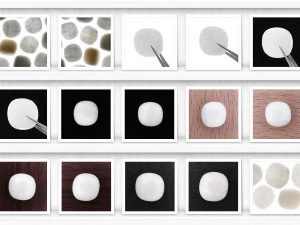 46 tridacna background textures CG Textures