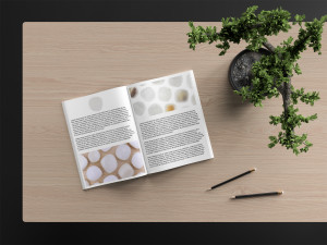 46 tridacna background textures Texturas CG