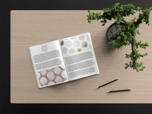 46 tridacna background textures CG Textures