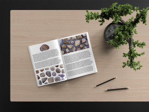 44 bronzite background textures Texturas CG