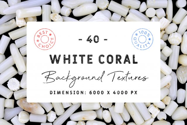 40 white coral background textures CG テクスチャ .c4d .max .obj .3ds .fbx .stl .blend 