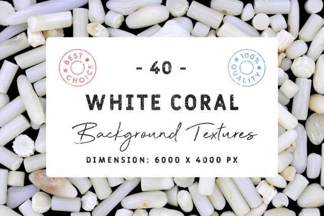 40 white coral background textures CG Textures .c4d .max .obj .3ds .fbx .stl .blend