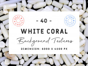 40 white coral background textures CG Textures