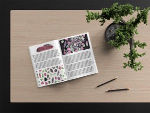 46 ruby zoisite background textures Texturas CG