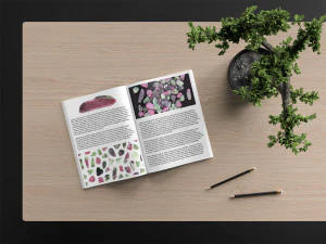 46 texture di sfondo di zoisite rubino CG Textures