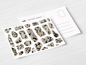 46 dalmatian jasper background textures CG Текстуры
