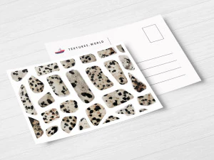 46 dalmatian jasper background textures CG Textures