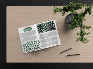 48 malachite background textures CG Текстуры