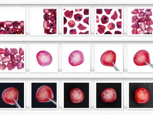 52 red coral background textures CG Textures