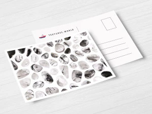 50 tourmalinated quartz background textures CG Textures