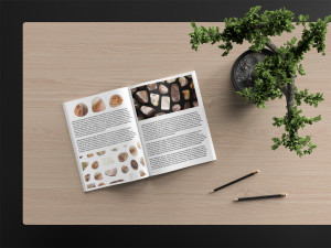 52 persian agate background textures CG Textures