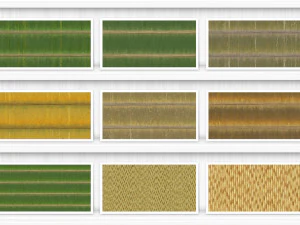 20 Bamboo Background Textures CG Textures