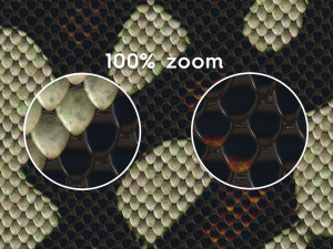 20 Snake Leather Background Textures CG Dokuları