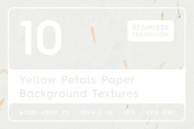 10 Yellow Petals Paper Textures CG Textures .c4d .max .obj .3ds .fbx .stl .blend 