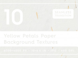 10 Yellow Petals Paper Textures CG Textures