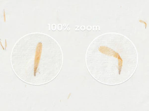 10 texturas de papel de p&eacute;talas amarelas Texturas CG