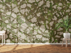 20 Ground Background Textures Texturas CG