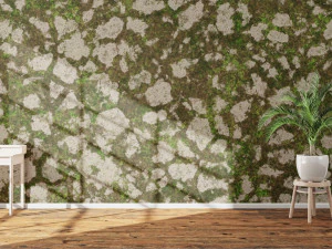 20 Ground Background Textures CG Textures