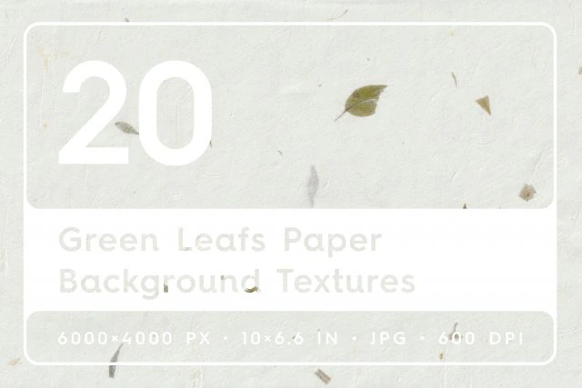 20 Green Leafs Paper Textures CG Textures .c4d .max .obj .3ds .fbx .stl .blend 