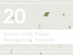 20 Green Leafs Paper Textures CG Textures