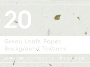 20 の緑の葉の紙テクスチャ CG テクスチャ