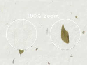 20 Green Leafs Paper Textures CG テクスチャ