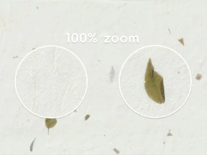 20 Green Leafs Paper Textures CG Textures