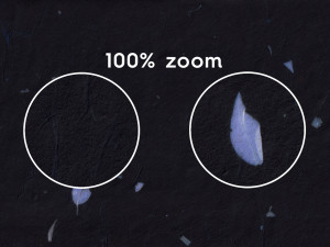20 Blue Petals Black Paper Textures CG Textures